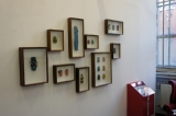 Galerie Queen Anne
